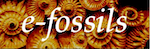efossilsLogo 150pxw